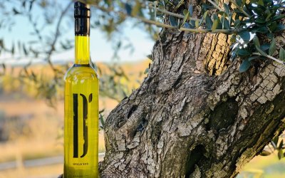 D&rsquo;Olici&oacute;s: a project that brings together tradition, innovation and sustainability