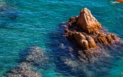 RocRoi Vilanova: sustainable adventures and a fresh perspective on the Mediterranean