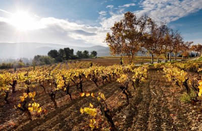 Alt Pened&egrave;s: Unwinding with wine and more