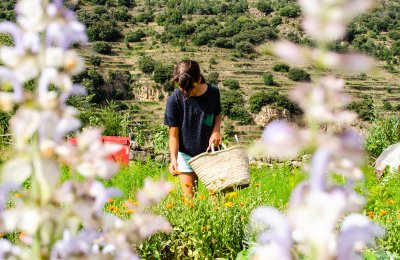 Bauma de les Deveses: nature and tradition at its best