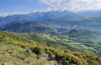 Trips with a distinctive character