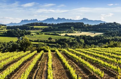 5 getaways for hiking without leaving Barcelona province: