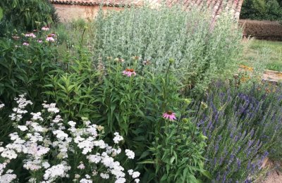 Parc de les Olors de Taradell, a getaway with the scent of history