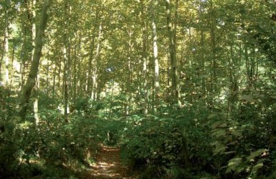 Santa Maria de Palautordera, a sustainable gateway to Montseny