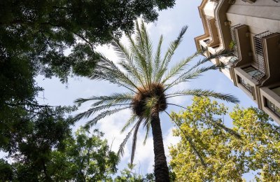 Barcelona&rsquo;s hotels: committed to saving water