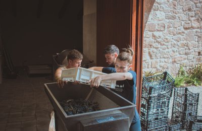 The Forn siblings: uncovering the historical memory of wine