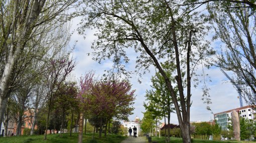 Ajuntament de Mollet del Vallès