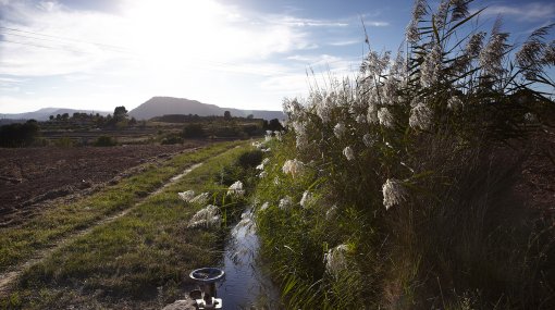 Parc de la Séquia