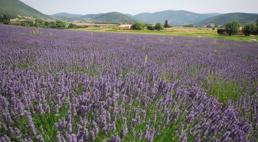 Parc de les Olors de Taradell, a getaway with the scent of history