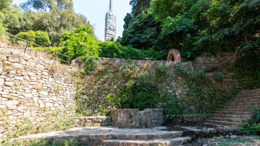 Barcelona restores 13 natural springs in Collserola to preserve heritage and biodiversity