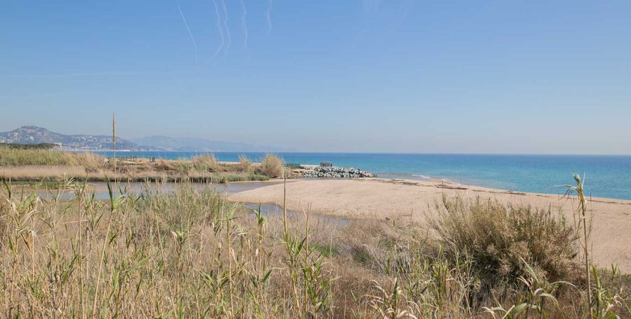 Malgrat de Mar, a town to (re)discover